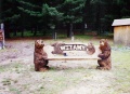 Bear Bench with Name Carved in Back Rest